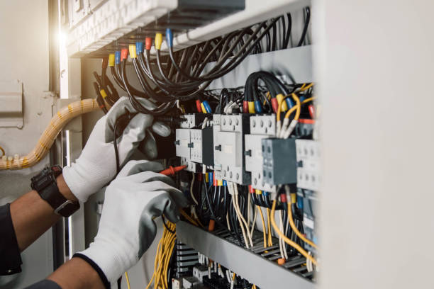 Best Electric Panel Repair  in Tilden, NE